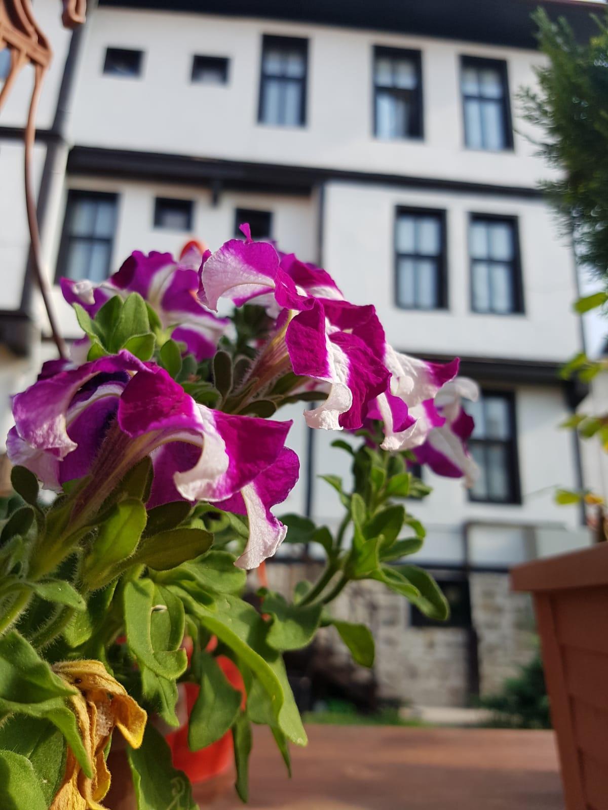 Kadioglu Konagi Hotel Kastamonu Luaran gambar